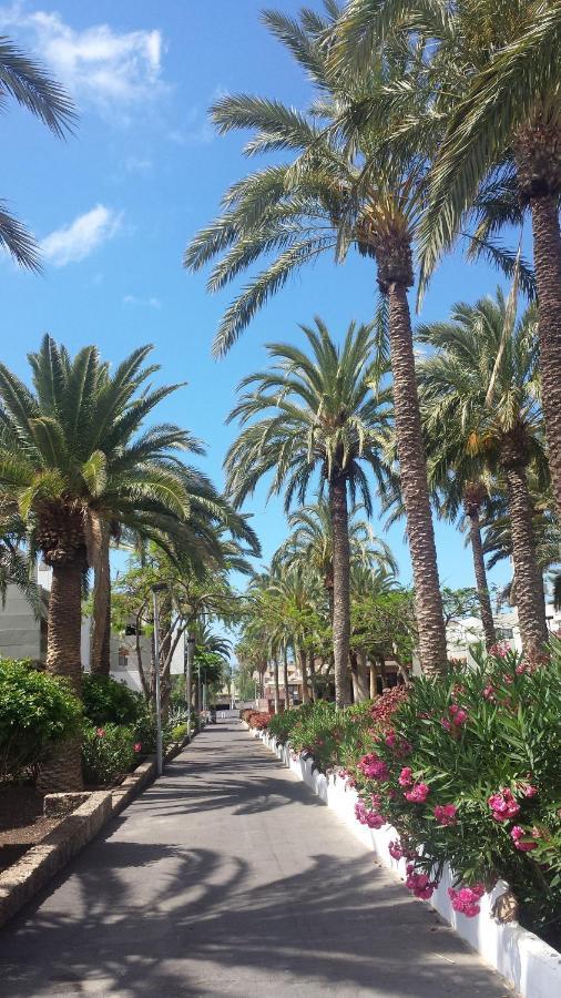 Simple Apartment Frontera Primavera Pool In South Tenerife Коста-дель-Сіленсіо Екстер'єр фото
